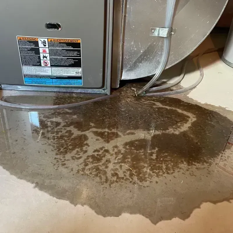 Appliance Leak Cleanup in Hooksett, NH